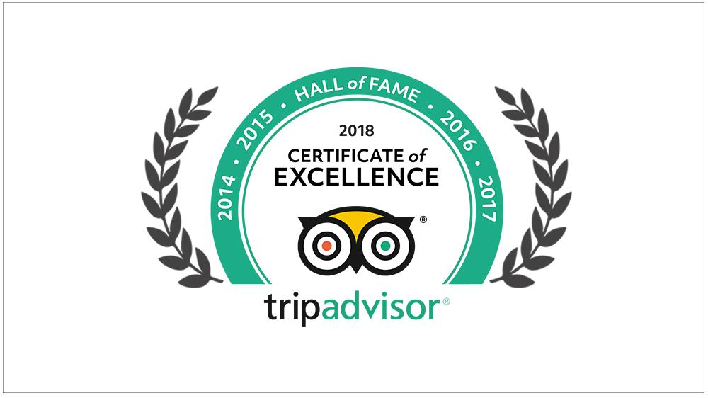 Certificate of Excellence to Kairali-The Ayurvedic Healing Village by Trip Advisor